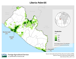 images\LI\cropprod\Liberia_Oil_Palm_preview.png